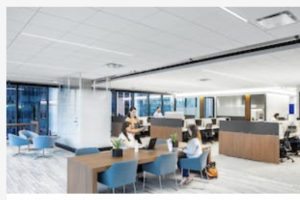 Acoustical Ceiling Tiles | Acoustical Ceiling Systems | Specialty Acoustical Ceilings | Suspension Systems | Drop Ceilings